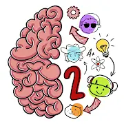  Brain
