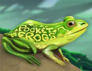  frog