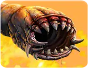  Worms