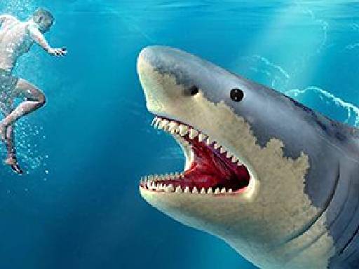 image Shark Hunting